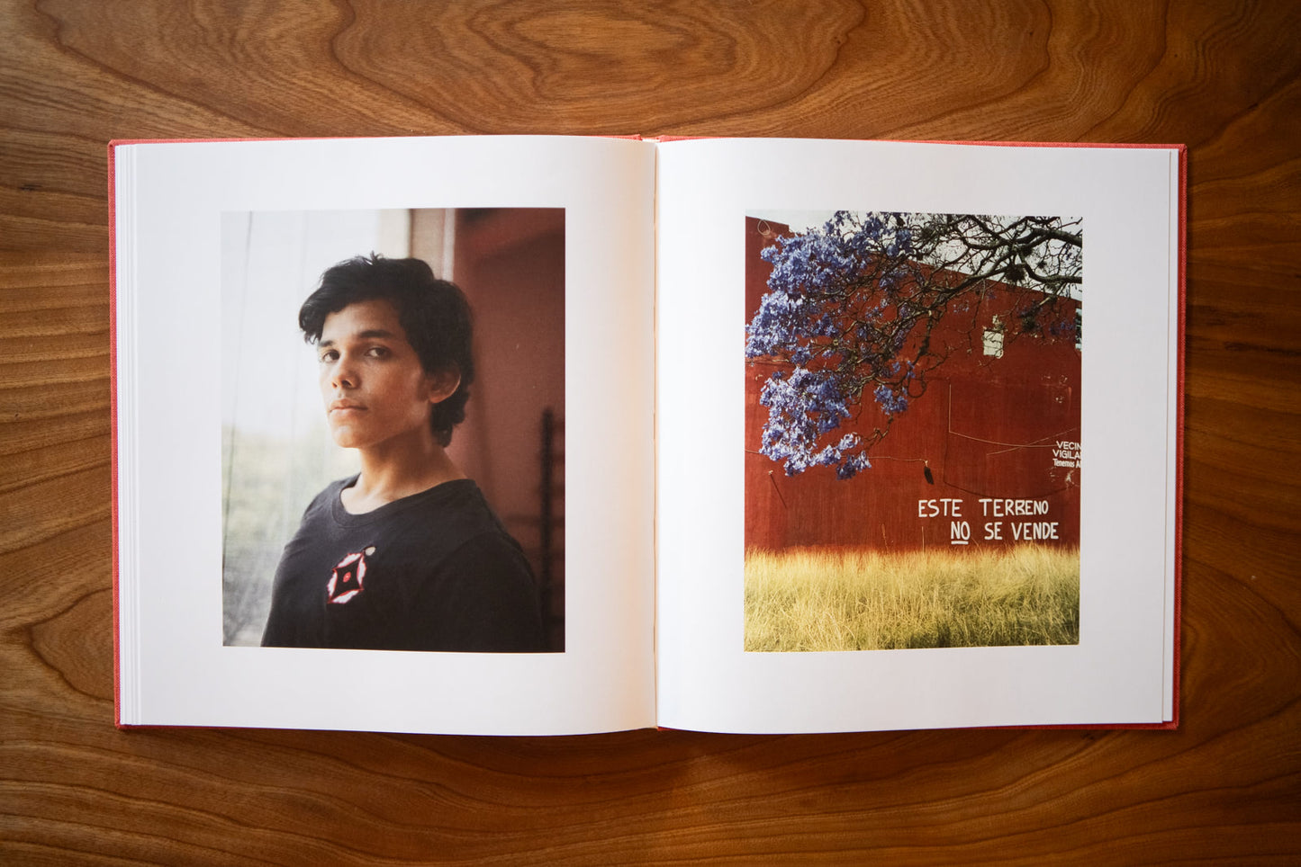 Puebla Rasa - Guido de Bruin